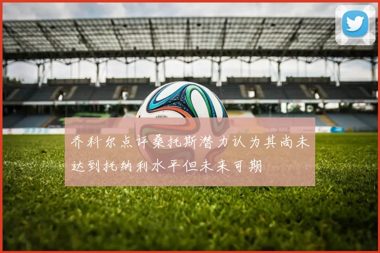 乔科尔点评桑托斯潜力认为其尚未达到托纳利水平但未来可期